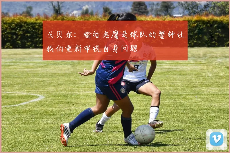 戈贝尔：输给老鹰是球队的警钟让我们重新审视自身问题