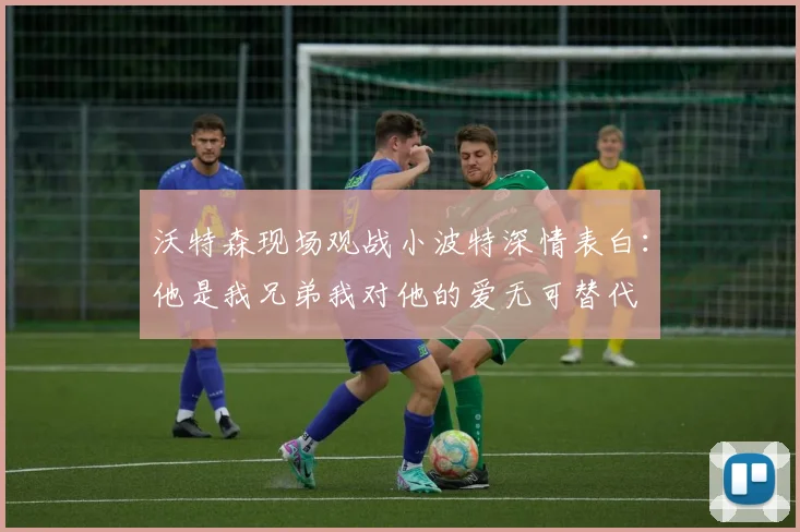 沃特森现场观战小波特深情表白：他是我兄弟我对他的爱无可替代